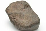Chondrite Meteorite ( g) - Western Sahara Desert #223102-1